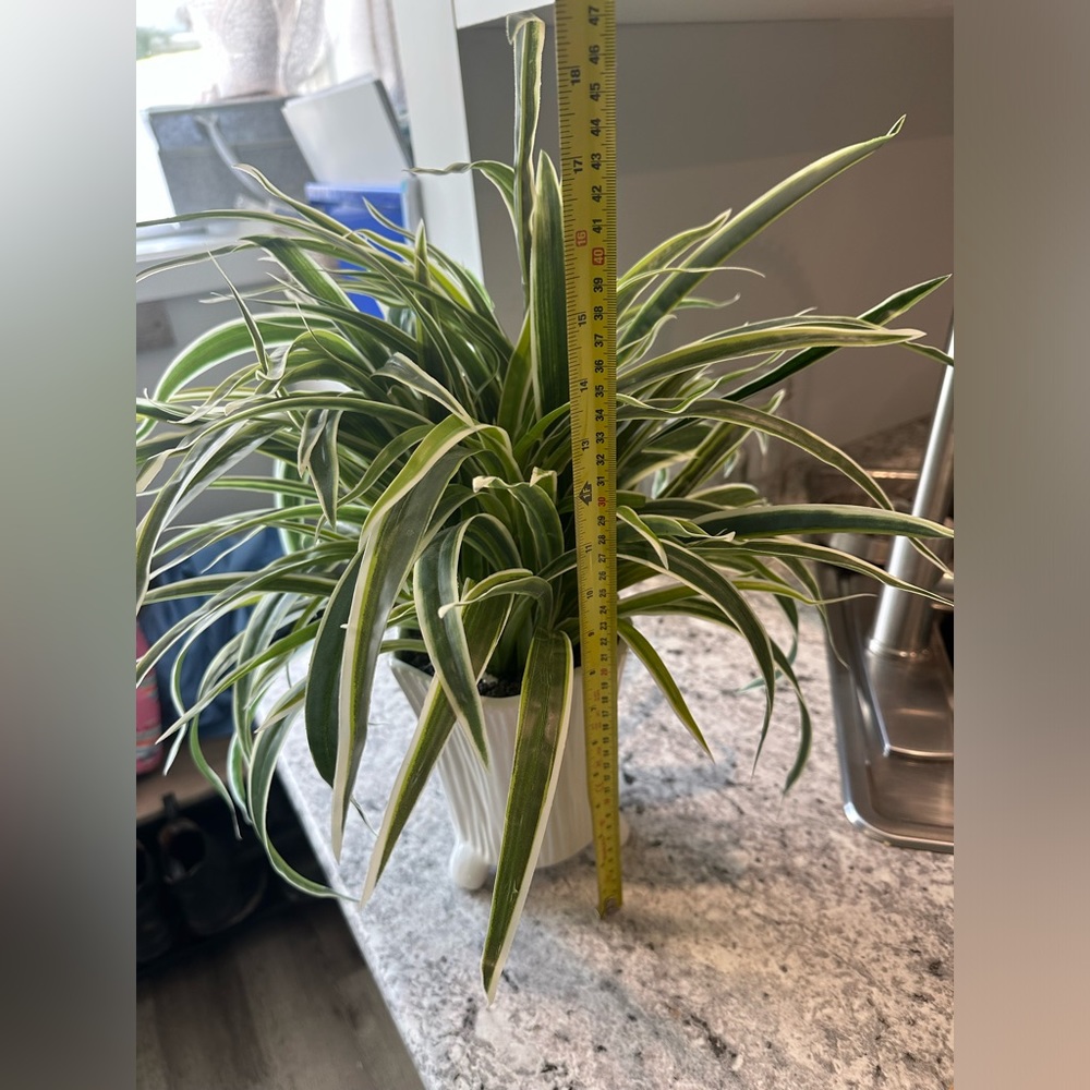 Fake Plant & Planter